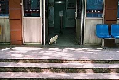 《战国王朝》发布首个以故事为导向的CGI预告片